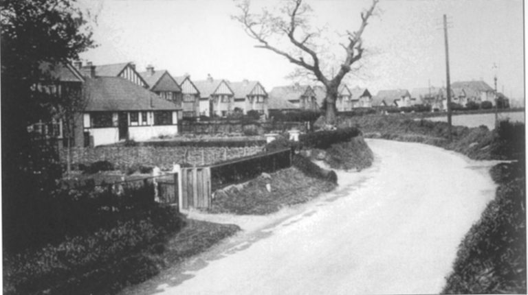 Thorney Lane
